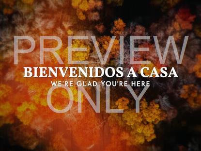 AERIAL JOURNEY WELCOME BACK STILL - SPANISH