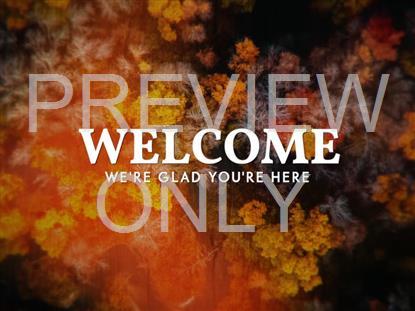 AERIAL JOURNEY WELCOME STILL