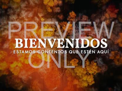 AERIAL JOURNEY WELCOME STILL - SPANISH