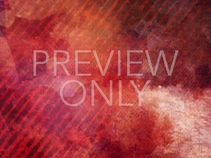 A KING'S WELCOME STILL 7