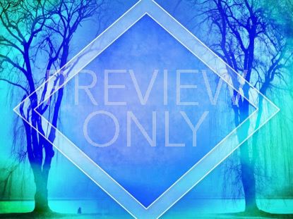 AUTUMN FOREST 3 STILL