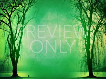 AUTUMN FOREST 6 STILL