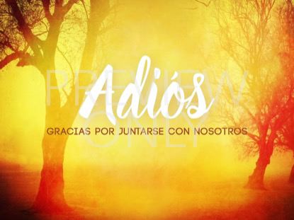 AUTUMN FOREST CLOSING STILL 2 SPANISH