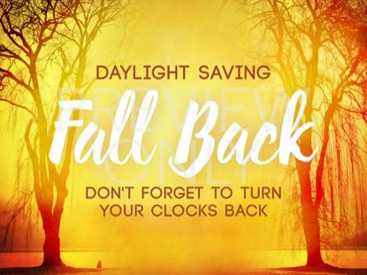 AUTUMN FOREST FALL BACK STILL