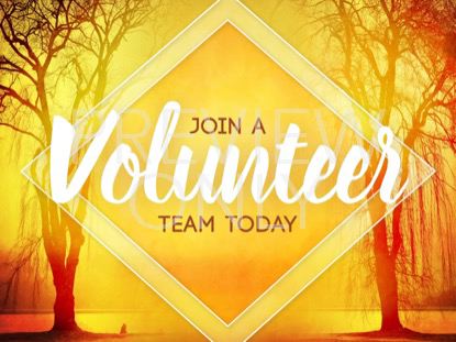 AUTUMN FOREST VOLUNTEER 1 STILL