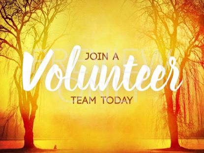 AUTUMN FOREST VOLUNTEER 2 STILL