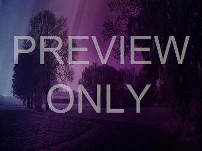 AUTUMN MIST 10 STILL