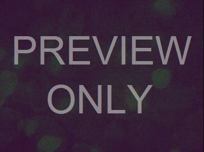 AUTUMN SPICE 12 STILL