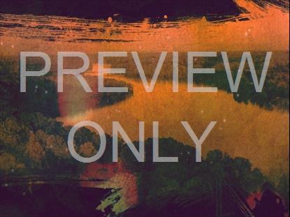 AUTUMN SPICE 1 STILL