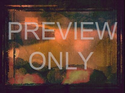 AUTUMN SPICE 3 STILL