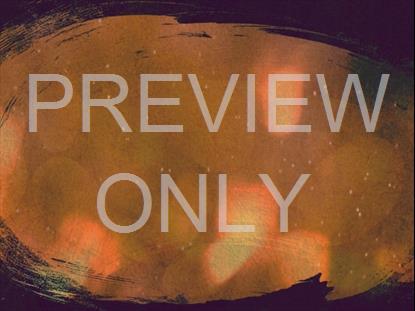 AUTUMN SPICE 5 STILL