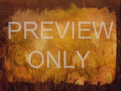 AUTUMN SPICE 6 STILL