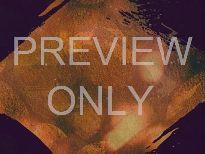 AUTUMN SPICE 9 STILL