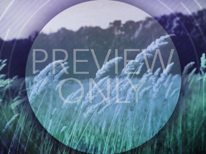 BARLEY BREEZE 2 STILL