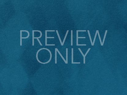 BOLD IMPRESSIONS STILL 6