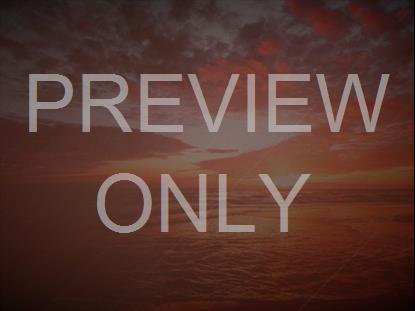 BRAND NEW DAY STILL 6