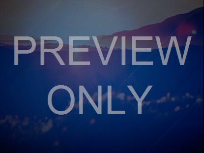 BRAND NEW DAY STILL 7