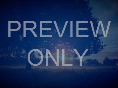 BRAND NEW DAY STILL 9