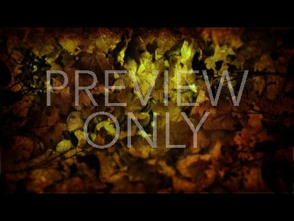 BURLAP LEAVES STILL 2