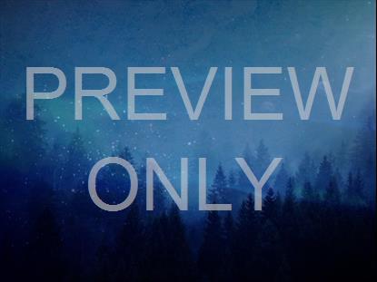 CALM AND BRIGHT STILL 7