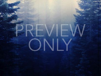 CALMING NATURE BLUE 1 STILL