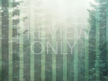 CALMING NATURE GREEN 6 STILL