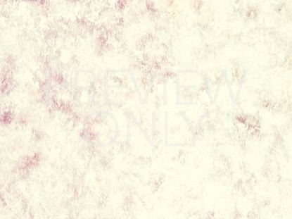 CELEBRATING MARTIN LUTHER KING DAY STILL 5