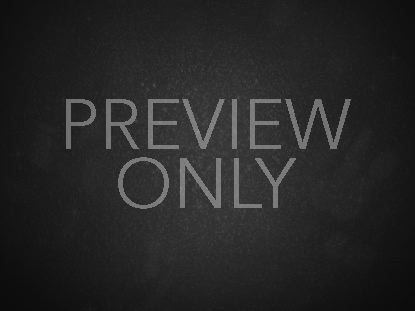 CELEBRATING NEW YEARS 4