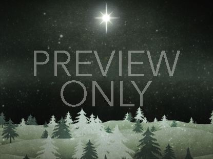 CHRISTMAS FOREST GREEN 1 STILL