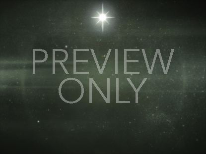 CHRISTMAS FOREST GREEN 3 STILL