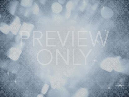 CLASSIC HOLIDAY SILVER STILL