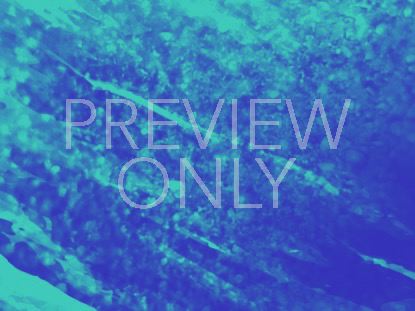 COLOR DYNAMICS STILL 4