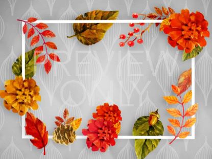 COLORS OF FALL STILL 2