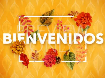 COLORS OF FALL WELCOME STILL - SPANISH