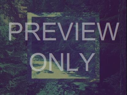 CREATION SINGS 4 STILL