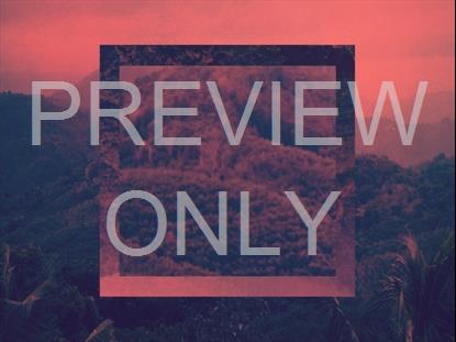 CREATION SINGS 5 STILL