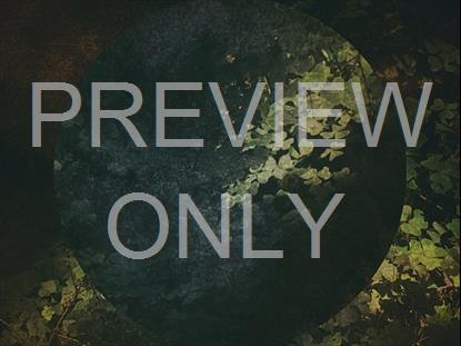 CREATION SINGS 7 STILL