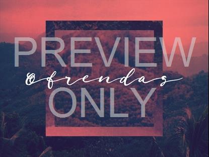 CREATION SINGS OFFERING STILL - SPANISH