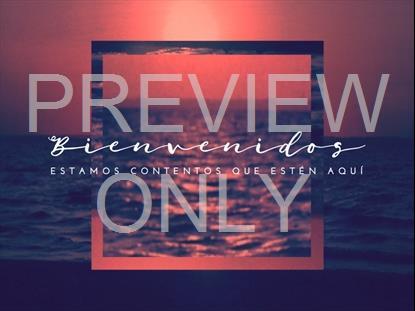 CREATION SINGS WELCOME STILL - SPANISH