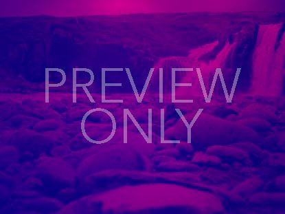 DUOTONE NATURE STILL 2