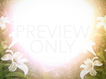 EASTER LILIES STILL 2