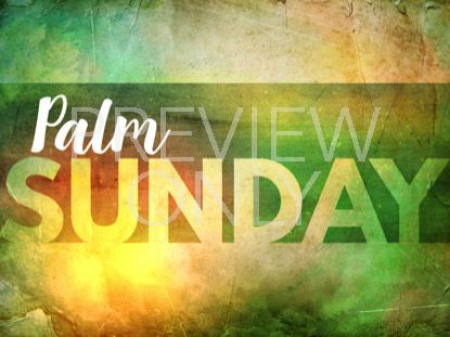 EASTER SUNRISE PALM SUNDAY STILL