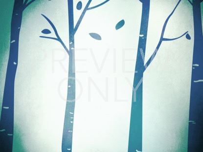 FALL BIRCH TREES BLUE 1 STILL