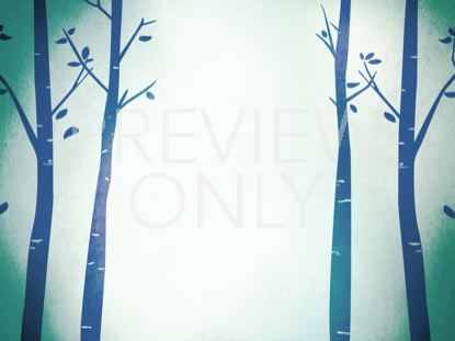 FALL BIRCH TREES BLUE 2 STILL