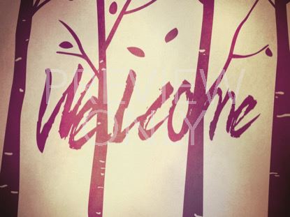 FALL BIRCH TREES WELCOME STILL