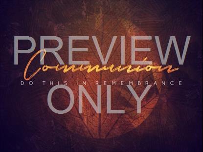 FALL INTO GRACE COMMUNION STILL