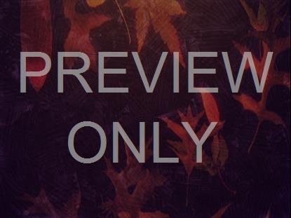 FALL INTO GRACE STILL 1