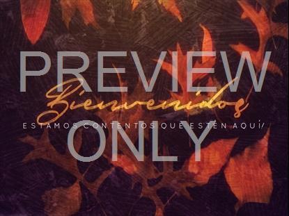 FALL INTO GRACE WELCOME STILL SPANISH