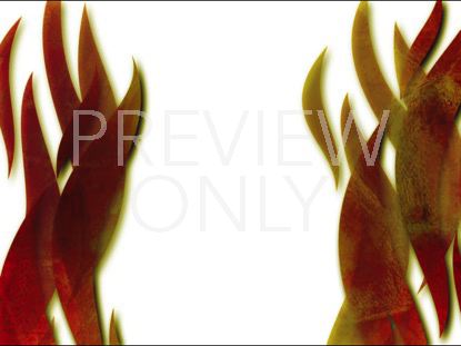 FLAMES OF GRACE 5 STILL