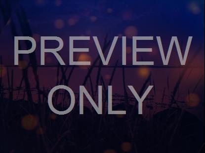 FLOATING LIGHTS STILL 7